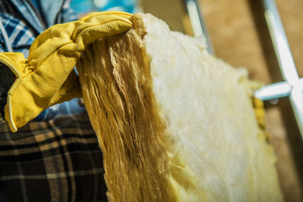 Best Insulation Replacement Services  in Loogootee, IN