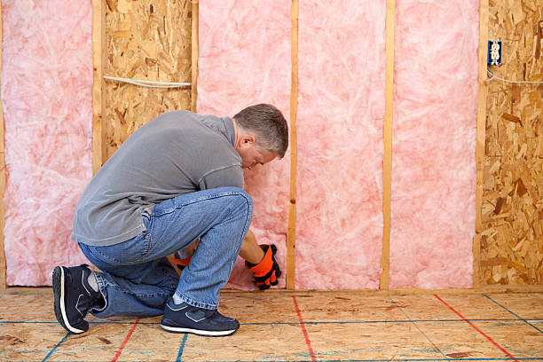 Best Wall Insulation Contractor  in Loogootee, IN