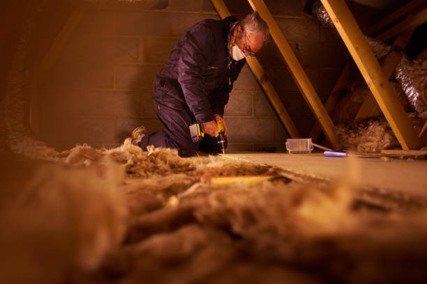 Best Insulation Contractor Near Me  in Loogootee, IN